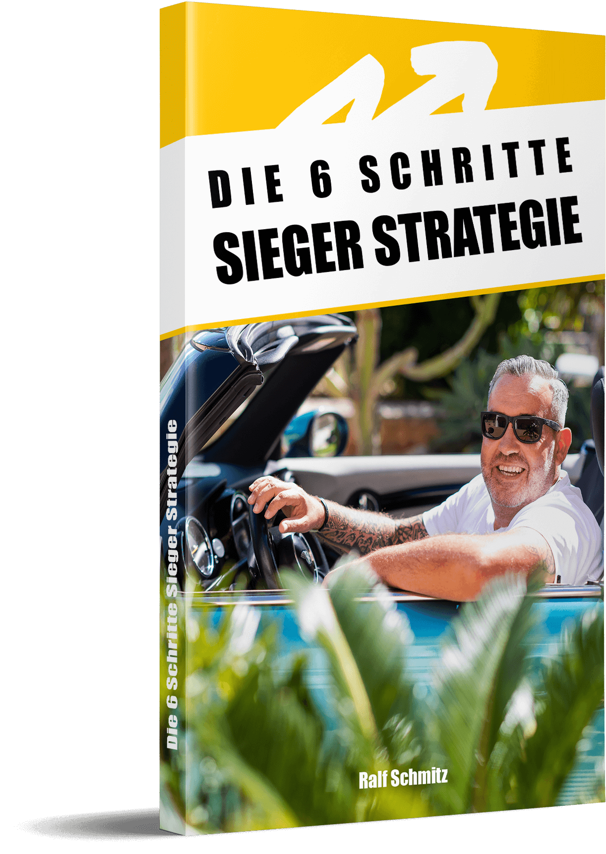Ralf Schmitz 6 Schritte Sieger Strategie