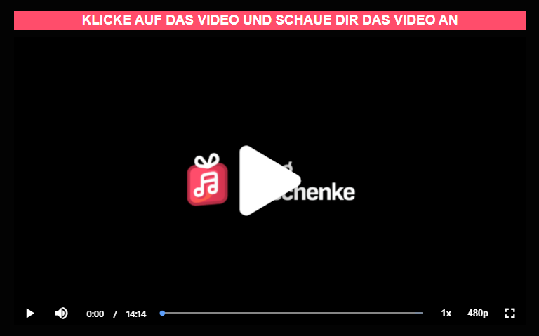 Songgeschenke Sven Hansen und Mike Hager. 
Es wird das Erklärvideo zur Software gezeigt.